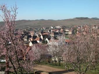 Apartamento Gite Du Vignoble