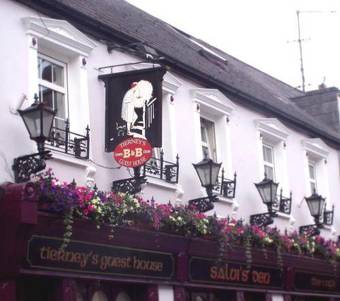 Hostal Tierneys Guesthouse On Main Street