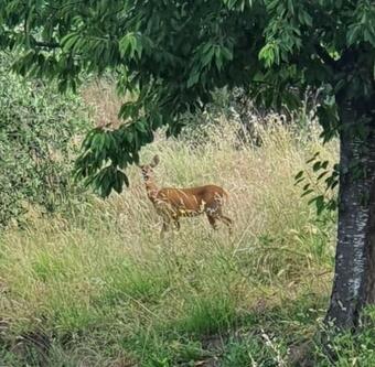Villa Lo Sguardo Della Natura