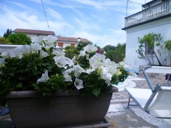 Bed & Breakfast Maison Fortune