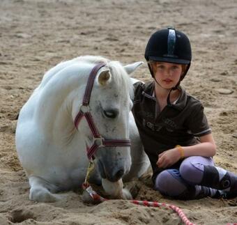 Pony-ranch-h�tte