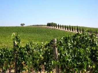 Agroturismo Agriturismo Relais Campiglioni