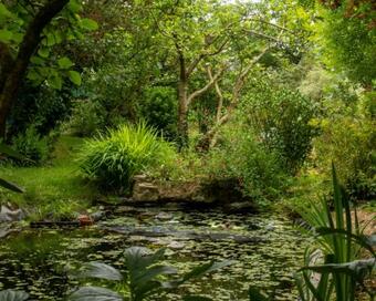 Apartamento Une Suite Au Jardin