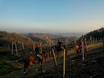 Agroturismo Agriturismo Le Querce Del Vareglio