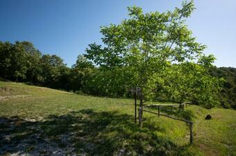 Po?itni?ka Hi?ka Skedenj