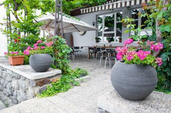 Hostal Penzion Janota Pern�