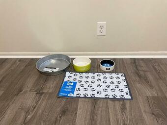 Entire Newly 3-bedroom Remodeled Home. Spacious