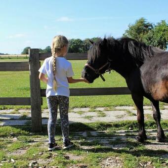 Apartamento S�dfall