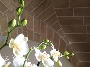 Apartamento La Ginestra Residence