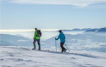 Awesome Apartment In Busa Di Villotta With Wifi And 1 Bedrooms