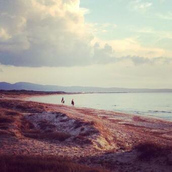 Bed & Breakfast Dimora Arborea