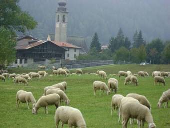 Agroturismo Agritur Bontempelli