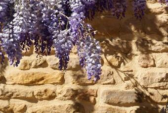 Apartamento Lodges En Pierres Dorees