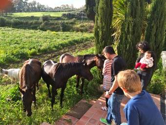 Agroturismo Agriturismo Vecchia Masseria Charme&relax