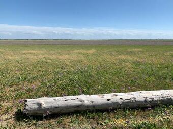 Spa Priv�, Individuel, R�sidence Calme, Jardin, Wifi Gratuit, Netflix, Parking Priv�