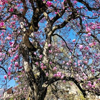 Chalet De 2 Chambres Avec Jardin Amenage Et Wifi A Saint Pierre D'albigny