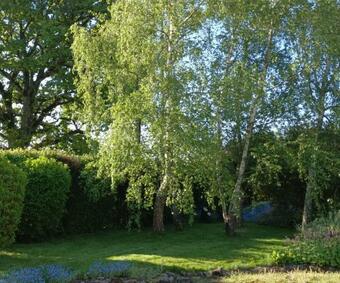 Bed & Breakfast Cadol'ain