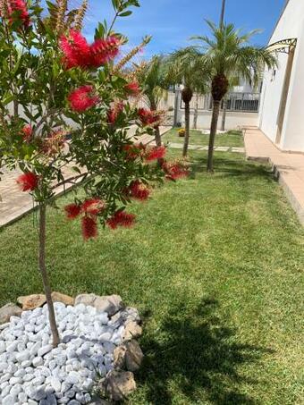 Ver fotos