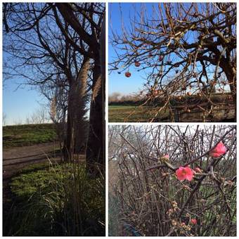 Bed & Breakfast Corte Bussari