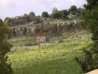 Agroturismo Turismo Rurale Baglio Fastuchera