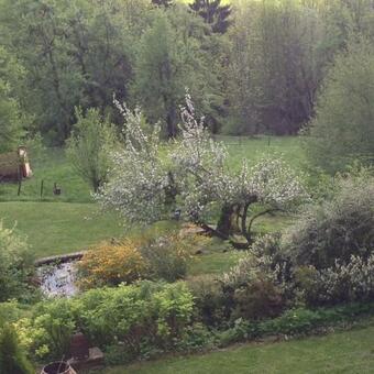 G�te Du Margouillat