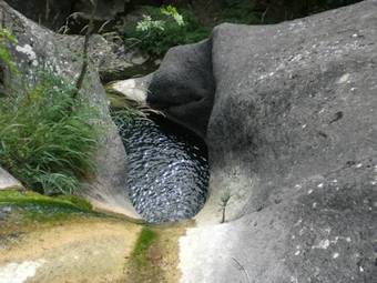 Agroturismo Agriturismo Le Querciole