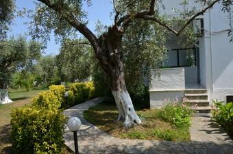Ver fotos