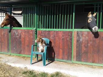 Agroturismo Valle Rillo Agriturismo