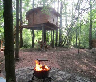 Treehouse V Brdech