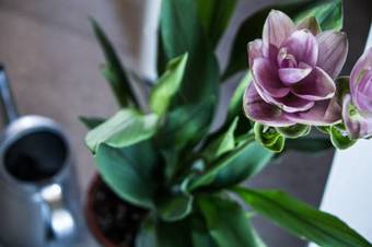 Agroturismo Villa Cascignoli