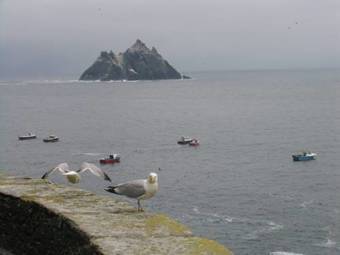 Albergue The Skellig Lodge