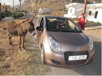 Apartamento Alpha Studios