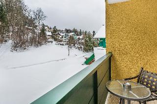 Aparthotel Alpine Club Hotel