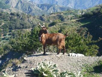 Bed & Breakfast Rocca Del Vento