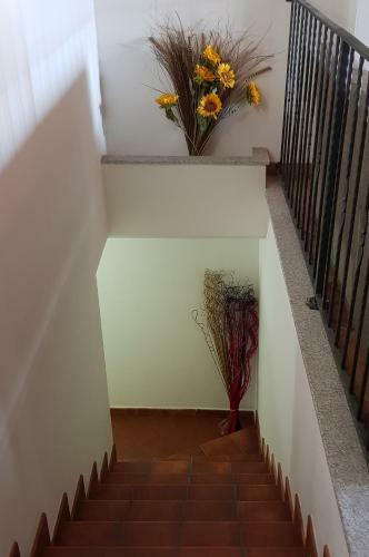 Bed & Breakfast S' Accorru