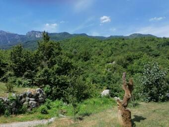 Apartman Kameno Vrelo