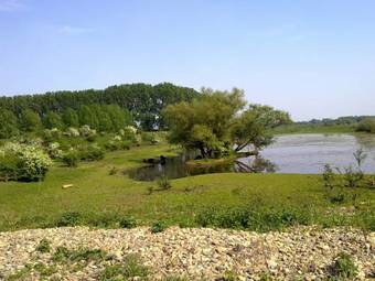 Cozy Charming Apartment In Roosteren By The Lake