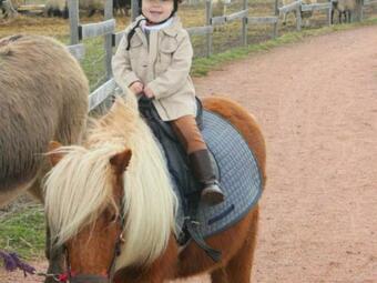 G�te Montpeyroux, 3 Pi�ces, 5 Personnes - Fr-1-630-124