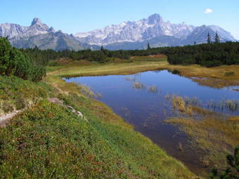 Hostal Apartment Maier