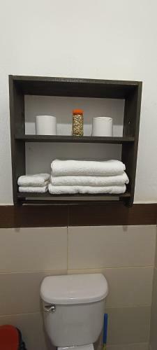 Apartamento *apto Peregrino* A/c, Cocina, Parqueo Gratis
