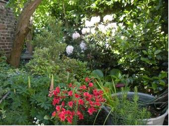 B&B La Demeure Du Papillon