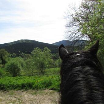 B&B Les Paddocks