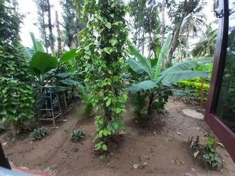 Kabini Paul's Cottage