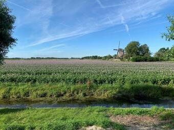 Vogel Vrij Woning