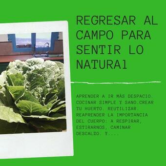 Ver fotos