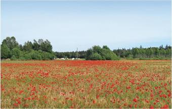 Holiday Home Klintehamn 51