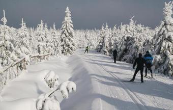 Apartamento Pension Triumph