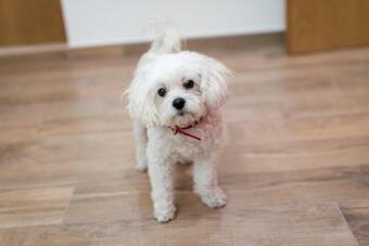 Apartman Momi?i - Dolina Neretve