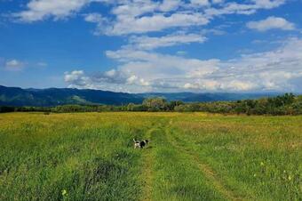 Apartamento C?su?a Dintre Nuci