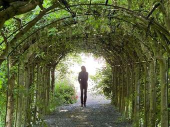 Stable Cottage - Glanton Pyke